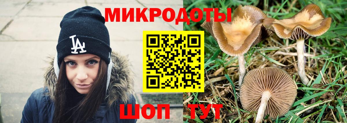 Галлюциногенные грибы мицелий Рузаевка