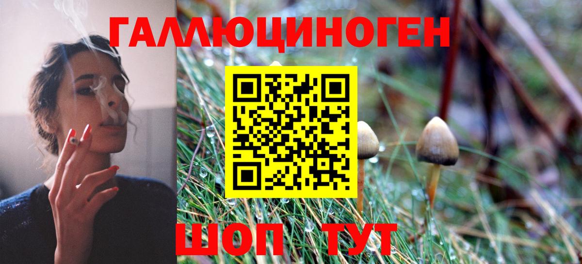Псилоцибиновые грибы Magic Shrooms  Вход с VPN  Рузаевка 