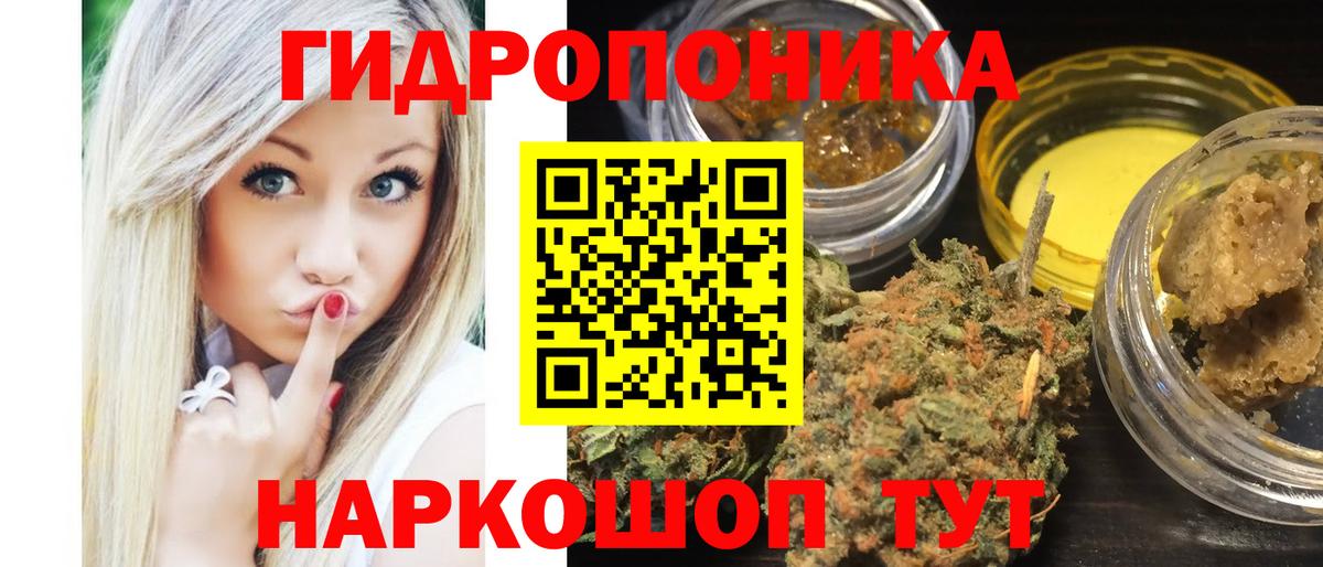 Рузаевка  Бошки Шишки AK-47  Конопля тримм  Вход с VPN  Бошки Шишки Bruce Banner  МАРИХУАНА SATIVA & INDICA 